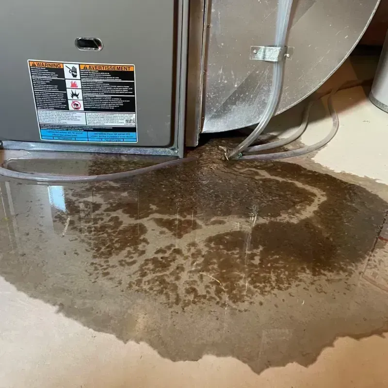 Appliance Leak Cleanup in Mountain House, CA